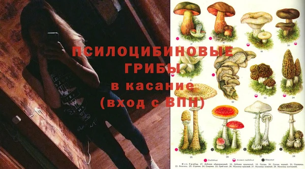 каннабис Ельня