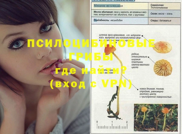герыч Елизово