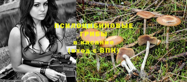герыч Елизово