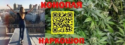 крисы Беслан