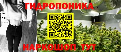 крисы Беслан