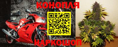 гашик Бийск