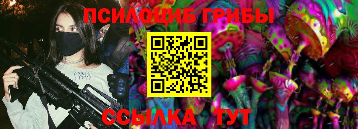 Галлюциногенные грибы Psilocybine cubensis Рузаевка