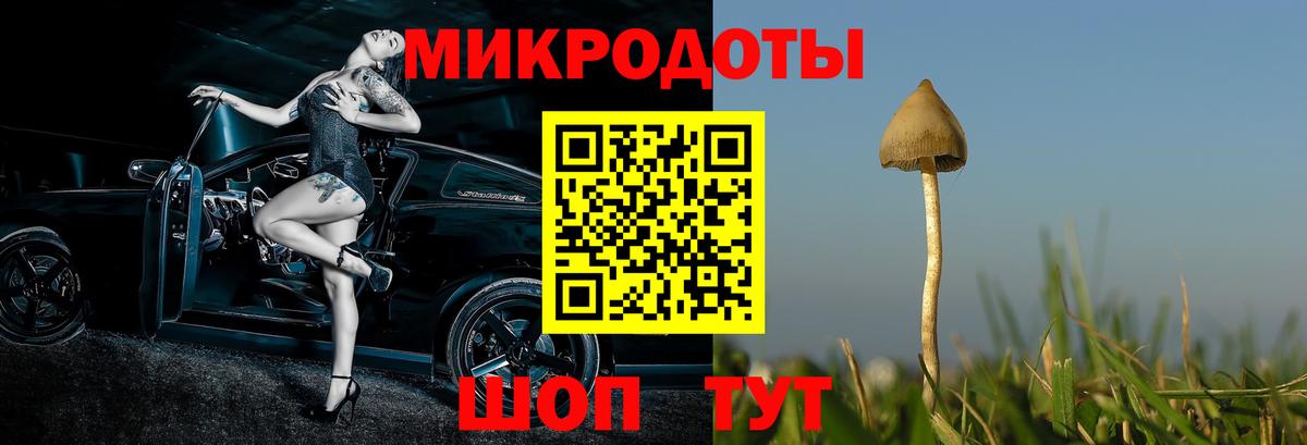 Псилоцибиновые грибы Cubensis Рузаевка